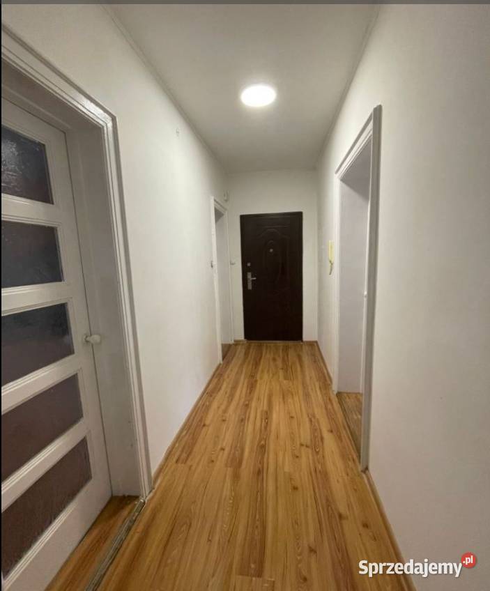2pok 78met Bukowej 3 PIWNICEOGRÓDGARAŻ Legnica dolnośląskie