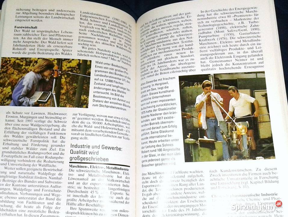 Schweizer Brevier 1995 Volk Staat Wirtschaft Chełm