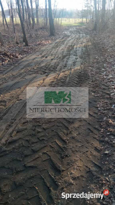 NA SPRZEDAŻ DZIAŁKA W OTOCZENIU LASU W JELNEJ podkarpackie Jelna