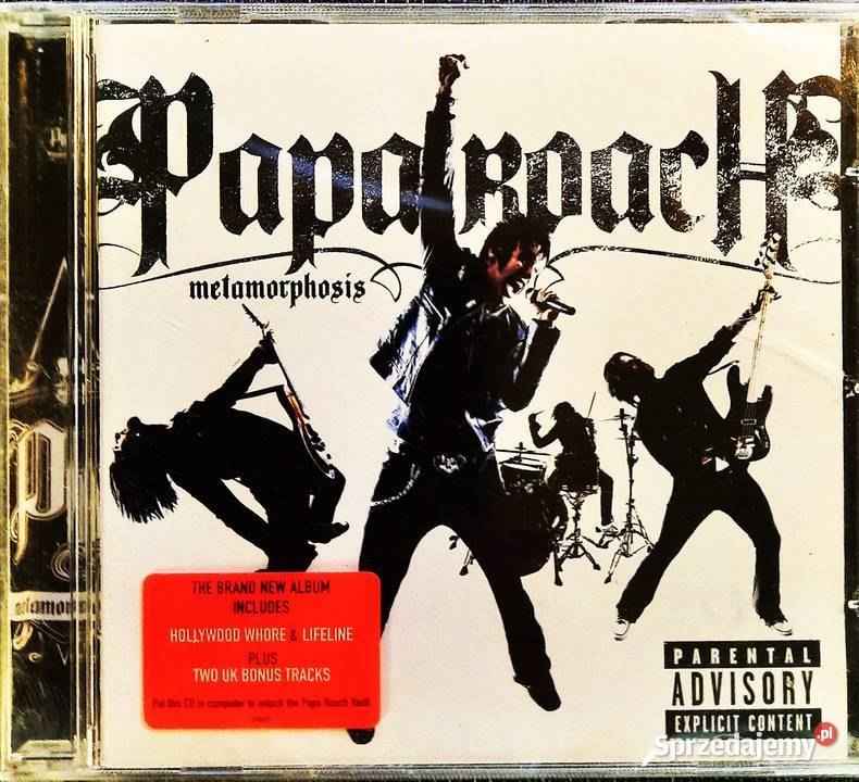 Album CD Zespołu FOO FIGHTERS Album One by One mazowieckie Warszawa