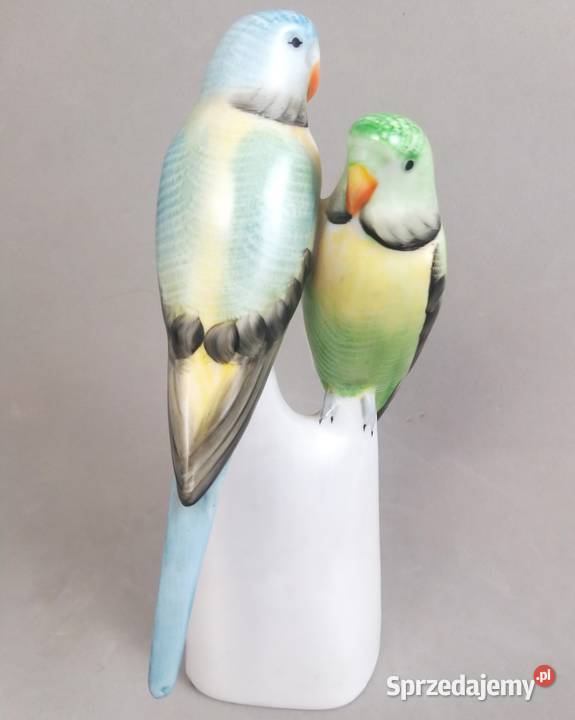 Papużki faliste zielone Hollohaza papugi Węgry mazowieckie Bronisze