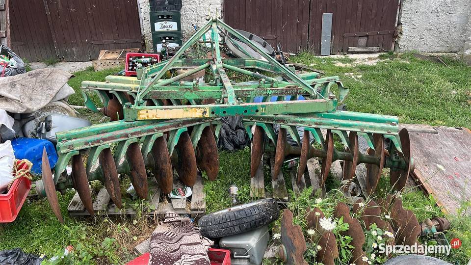 Talerzówka Chojno Nowe Pierwsze sprzedam