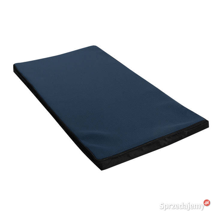 Matymata dezynfekcyjna 100x50x4 szyb wysyłka Katowice sprzedam