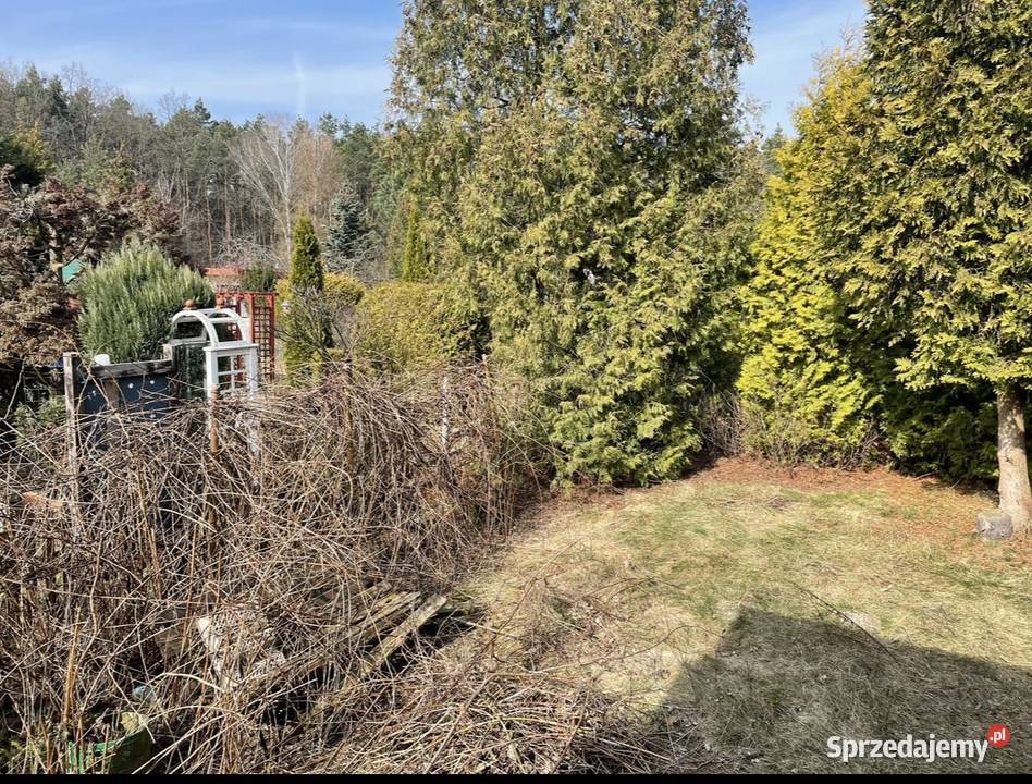 Działka ROD LAS Białołęka prąd Warszawa