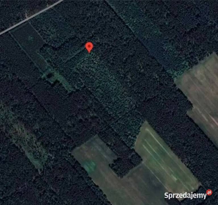 Sprzedam las 4 hektary 5zł/m2 Jedwabne sprzedam