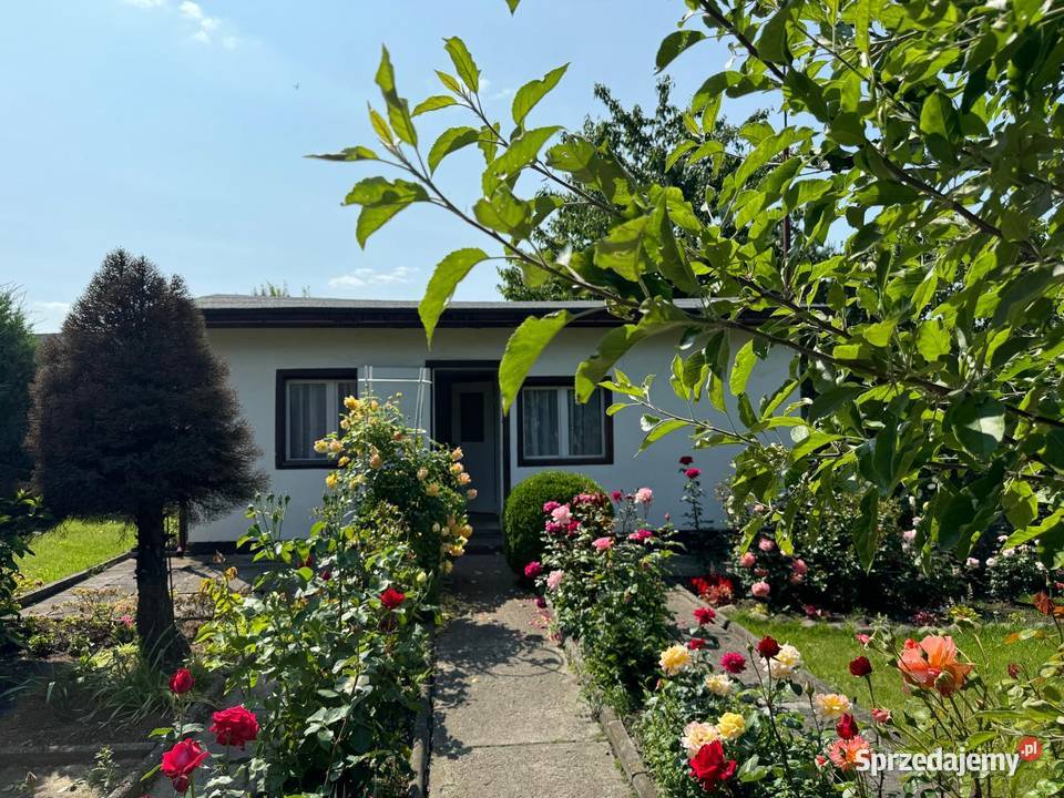 Ogrodek Dzialkowy ROD "Jutrzenka"