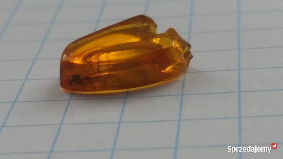 4mm owad w bursztynie rarytas okaz śląskie