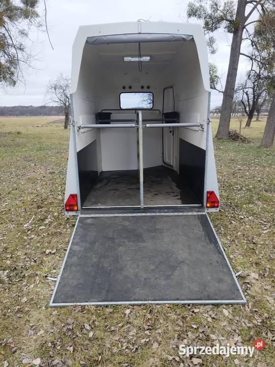 Przyczepa Konna Boeckmann Thiel Explorer z Boeckman Radom