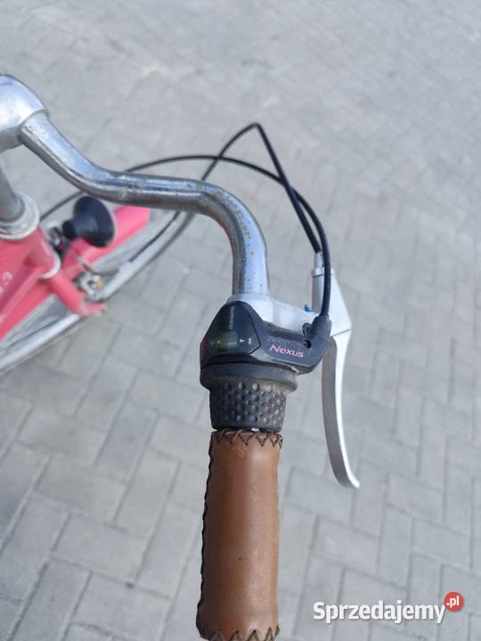 Rower Chełm