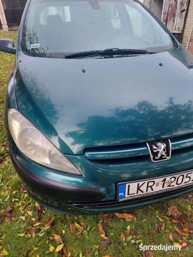 Peugeot 307 lubelskie Krasnystaw