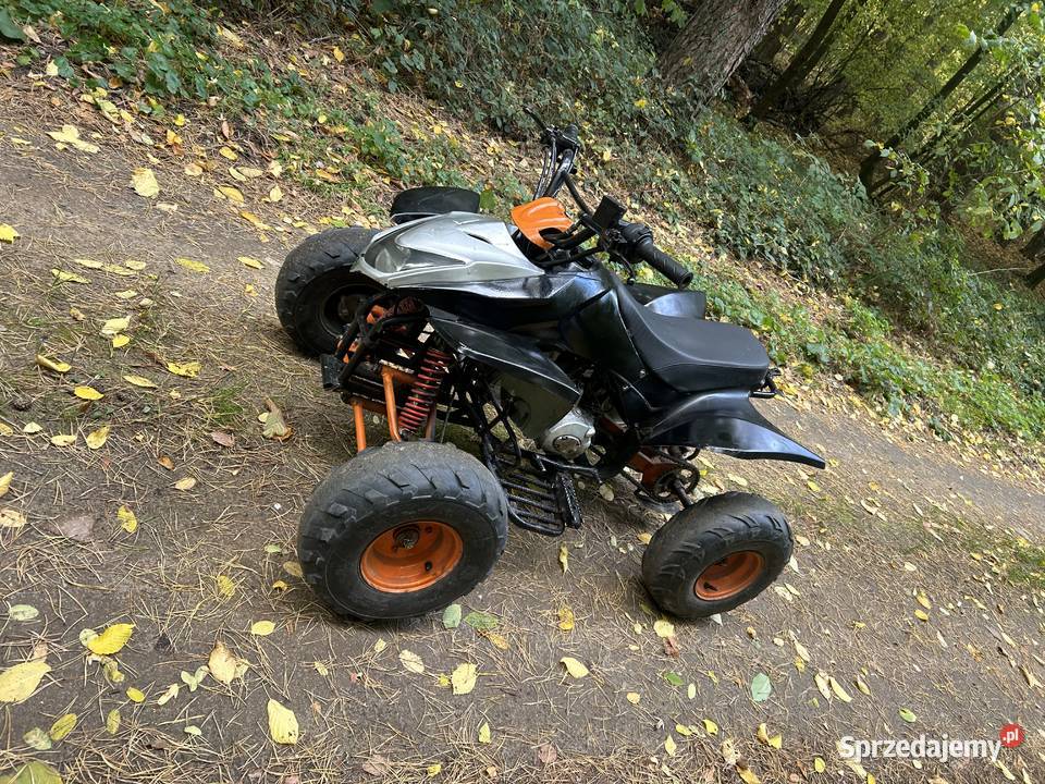 Quad 110 lubelskie Adamów