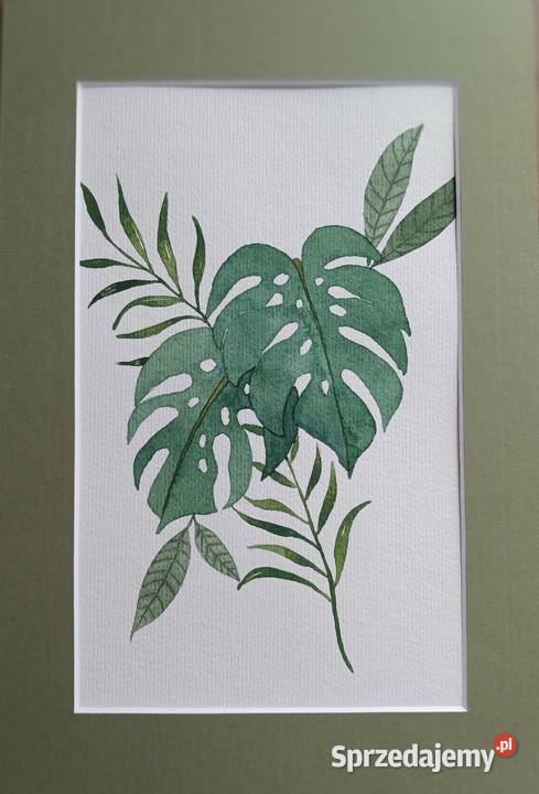 Akwarela Obraz Liście Monstery 19x26 zachodniopomorskie sprzedam