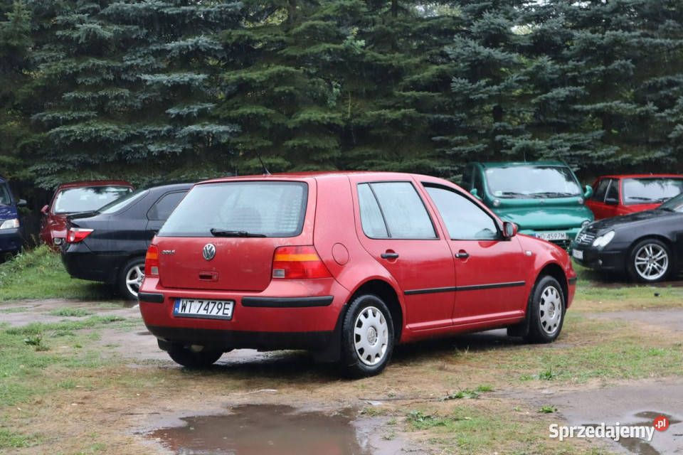Volkswagen Golf 2001r 14 Benzyna 5 Drzwi Tanio czerwony Golf Warszawa