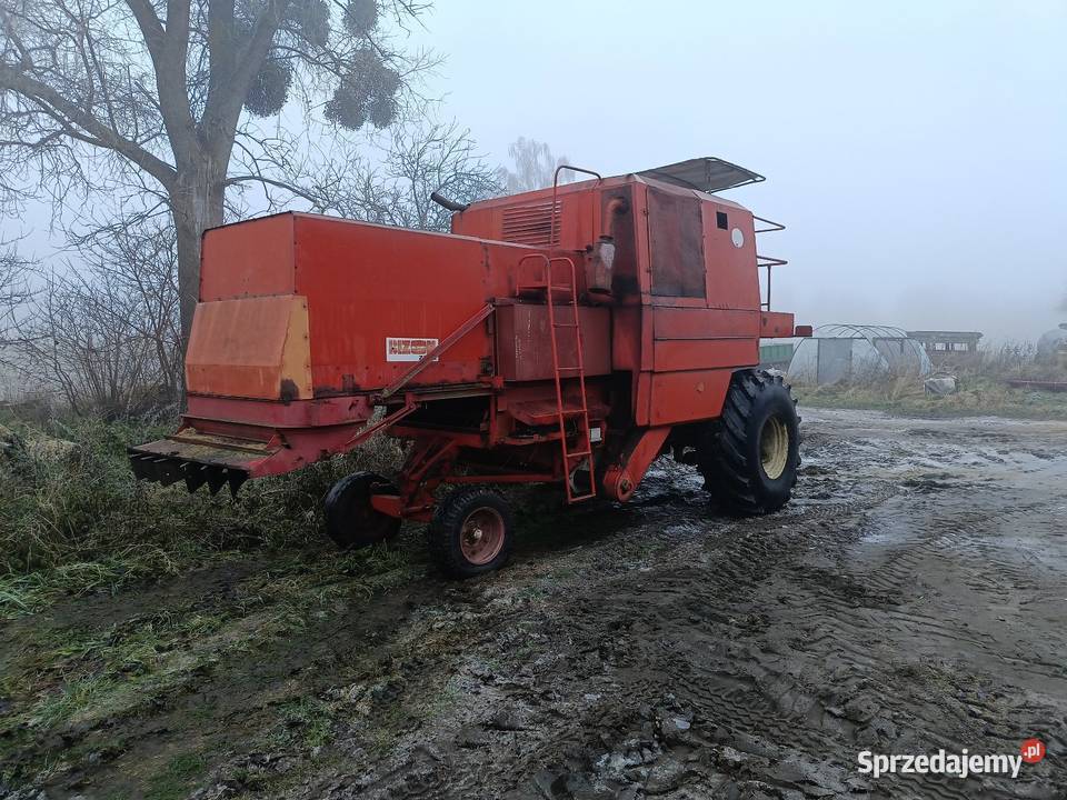 Bizon Z056 Super szuka domu Lubieszyn