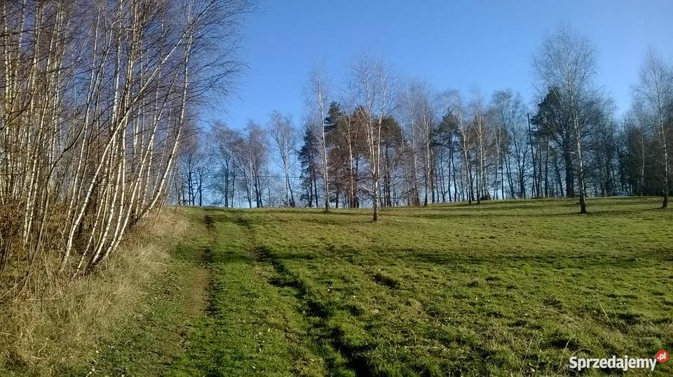 Sprzedam Piękną Działke prąd Nowy Wiśnicz