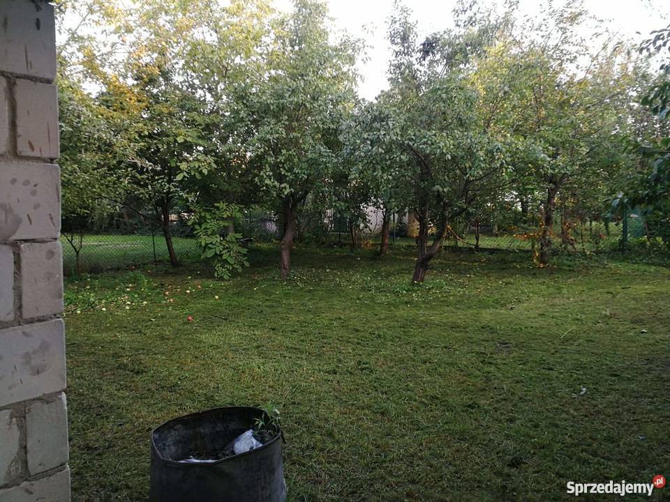 Sprzedam działkę rekreacyjną ROD Aster Łódź