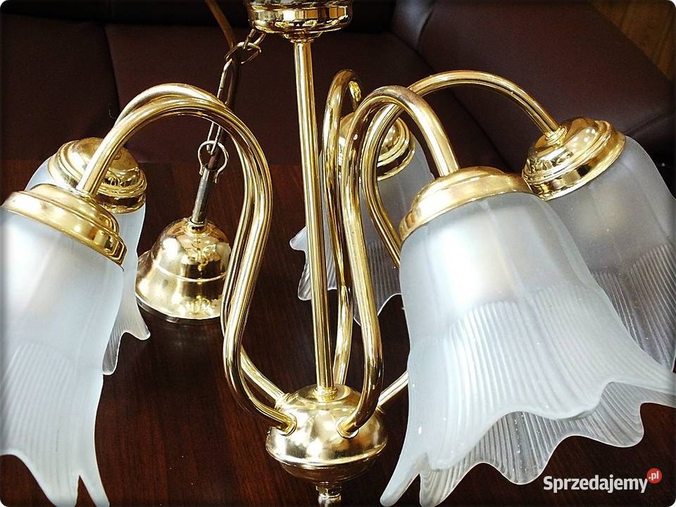 Złoty Żyrandol 5 ramienny Tulipany Lampa wisząca lubuskie