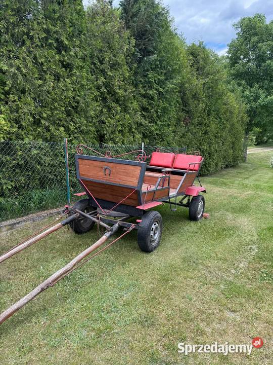 Bryczka konna Giby