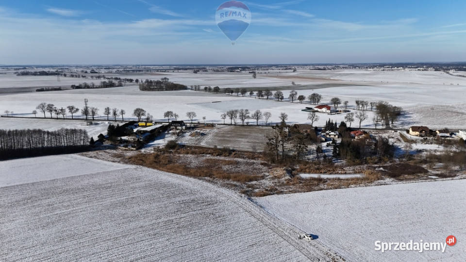 Działka inwestycyjna 9521mNapachanie S11 wielkopolskie Napachanie