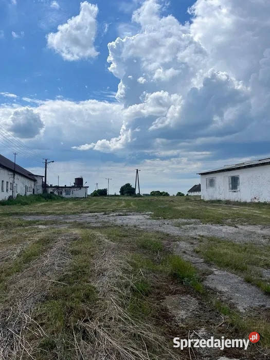 Ferma trzodadrobiu 72000m2 Sprzedaż