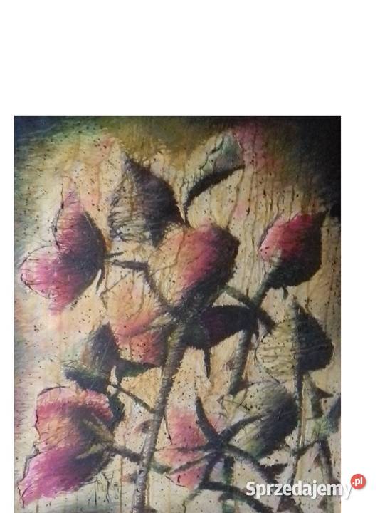 Tornada Róże Jarosław