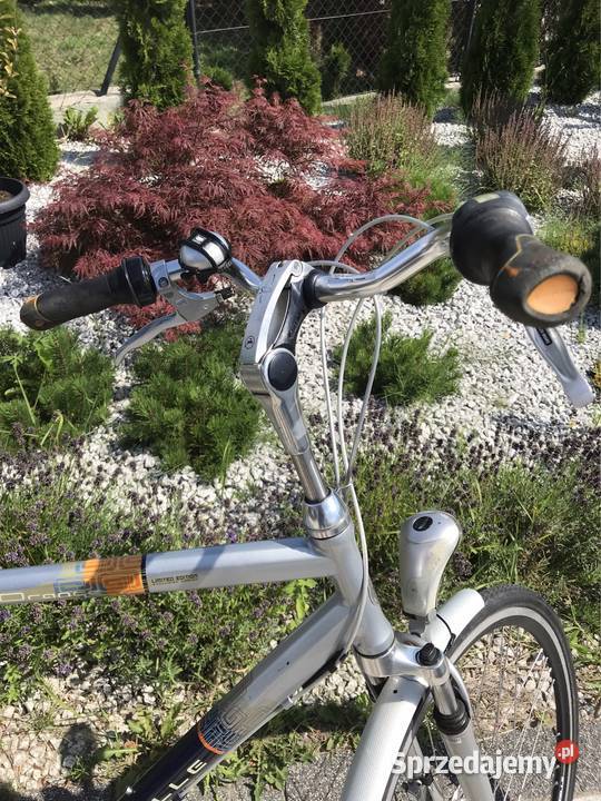 Rower Gazelle Orange limited edition 28 Gdańsk