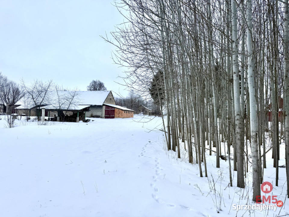 sprzedaży domu wolnostojącego Kumiała 9496m2 2 piętra Nieruchomości sprzedam
