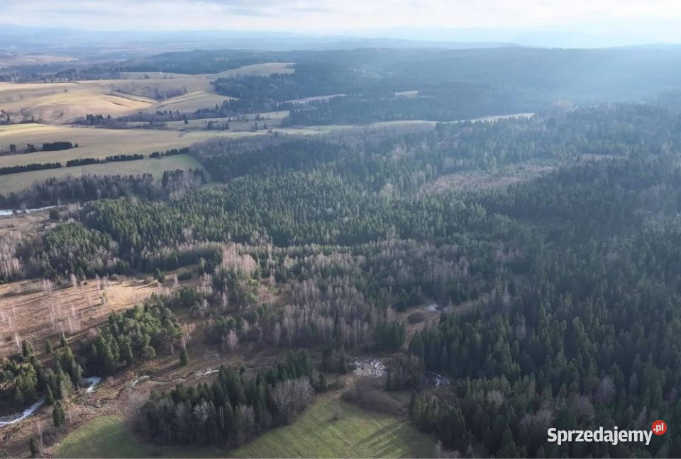 Działka Czarna 11400m2 podkarpackie