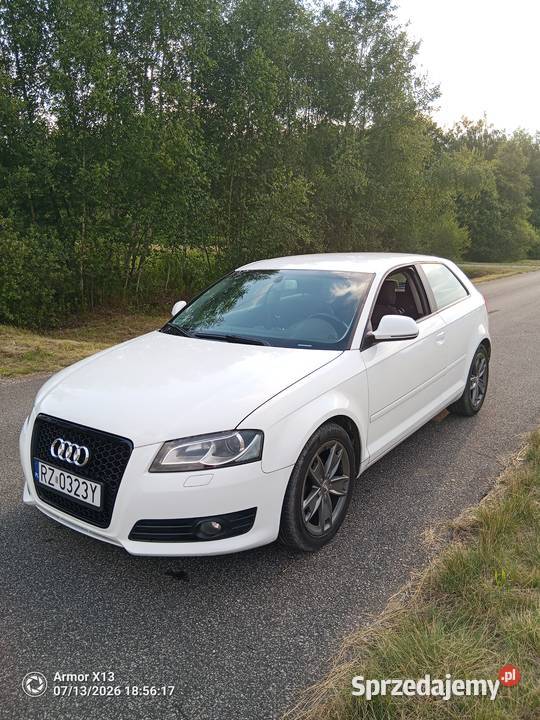 Audi A3 8P 16 TDI A3 Brzesko