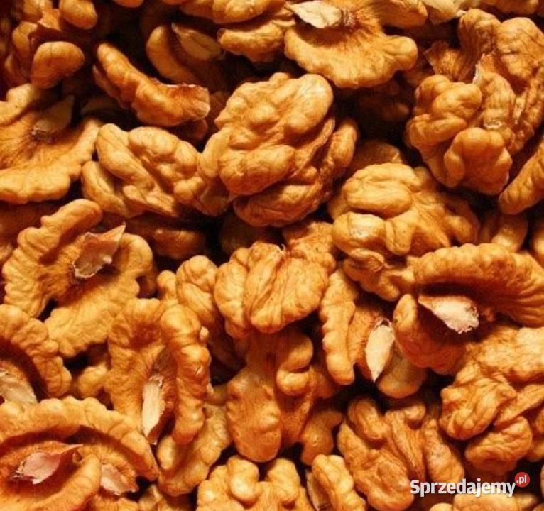 Orzechy włoskie