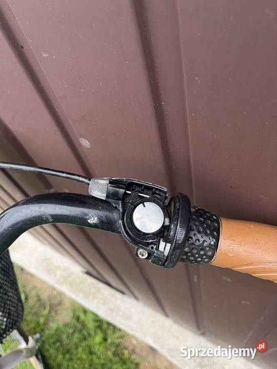 Niebieski rower Alpina Radecznica sprzedam