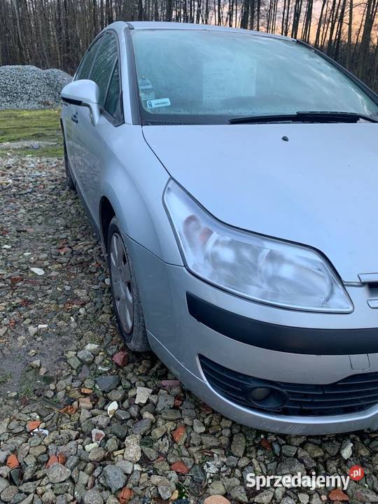 Citroen4 Puławy
