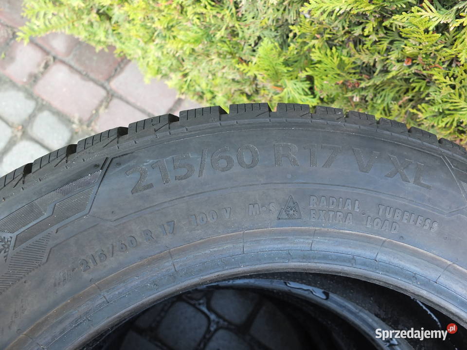 Barum Polaris 5 2156017 Sobolew