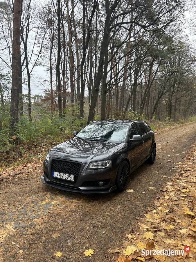 Audi A3 8p 18 TFSI reflektory ksenonowe Dzierzkowice-Wola