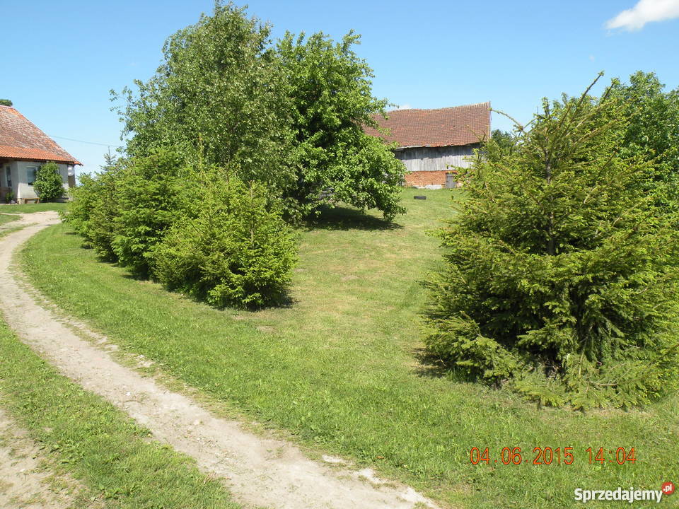 Siedlisko WarmiaMazury węglowe warmińsko-mazurskie