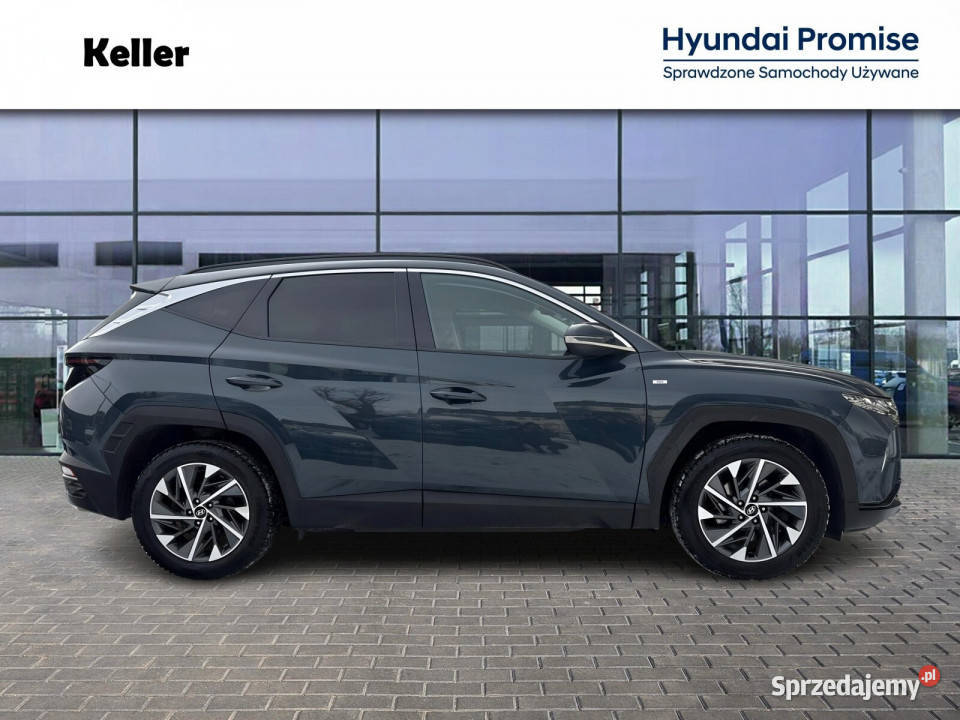 16T 48V 150 Krajowy Serwis ASO Automat Dealer niebieski śląskie Gliwice sprzedam