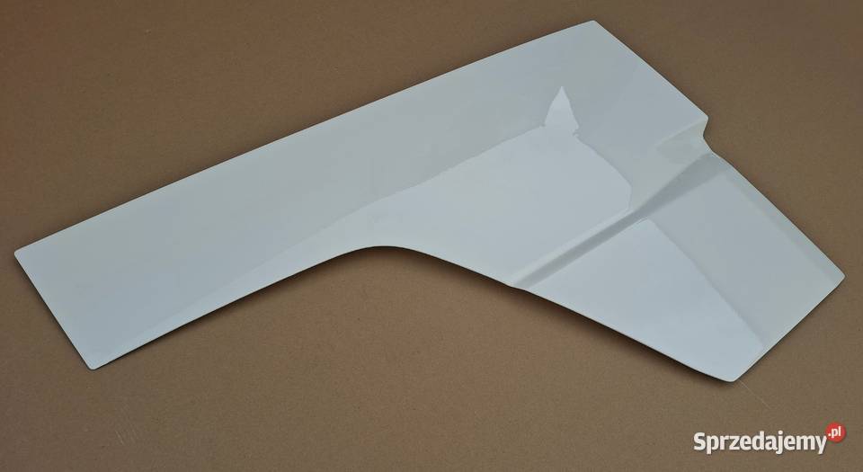 DAF XG XG PRZEDŁUŻENIE DRZWI PRAWYCH PRAWE LAK Bieleń