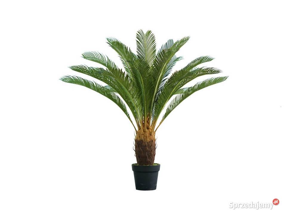 Sztuczna palma z kokosem Premium cykas 110 Meble Golkowice