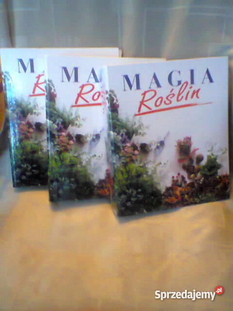 KWIATY MAGIA ROŚLIN Szczecin sprzedam