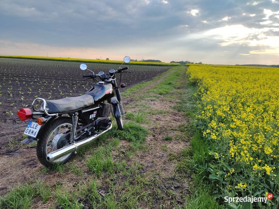 MZ ETZ 250 benzyna
