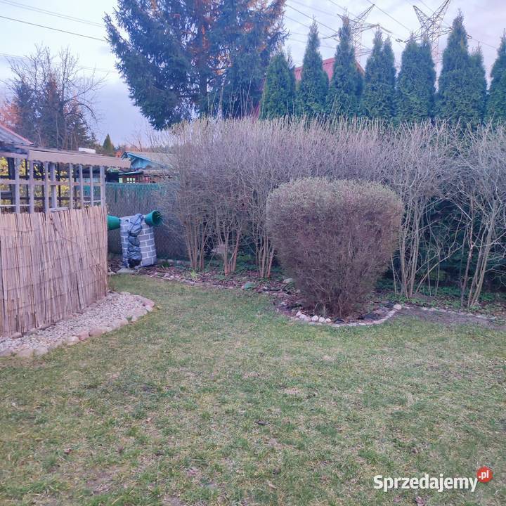 Działka ROD łódzkie Bełchatów