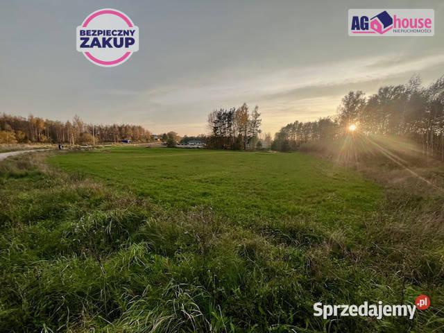 Grunt 2346m2 Pomlewo Kasztanowa pomorskie