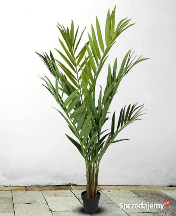Palma Królewska 190 cm sztuczne drzewko, kwiat