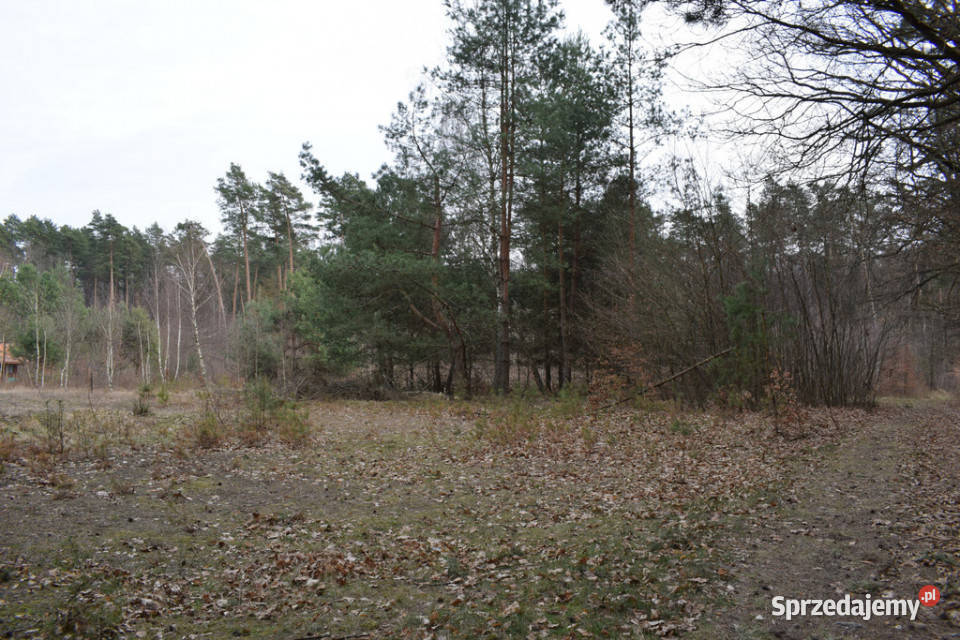 Działki pod budownictwo 1387a Wysoka Głogowska