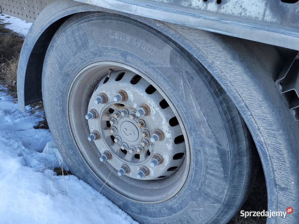 Schmitz Cargobull 2023 SCBS3 salon Polska