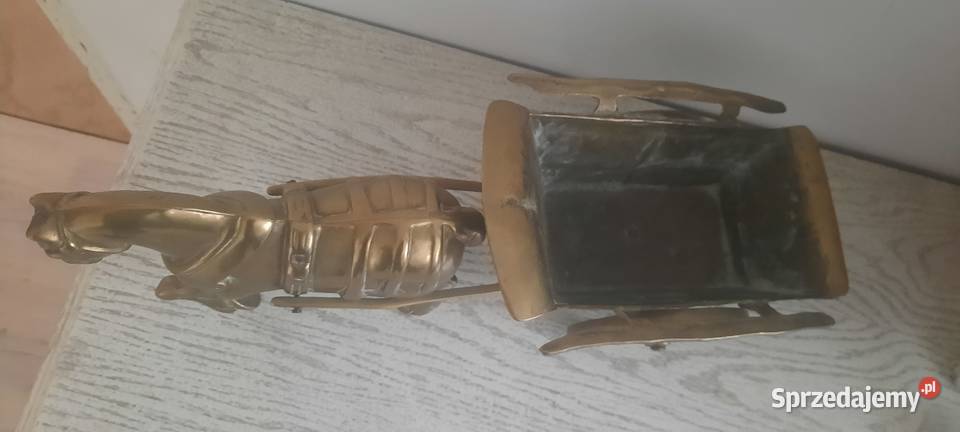 Kon z mosiadzu Poznań