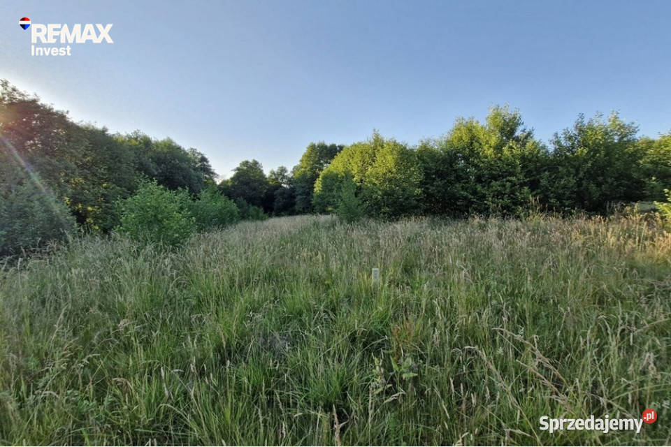 Działka rolna natury i gór śląskie Rybarzowice