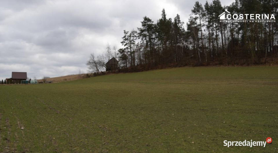 Działka Równe 14000m2 sprzedam