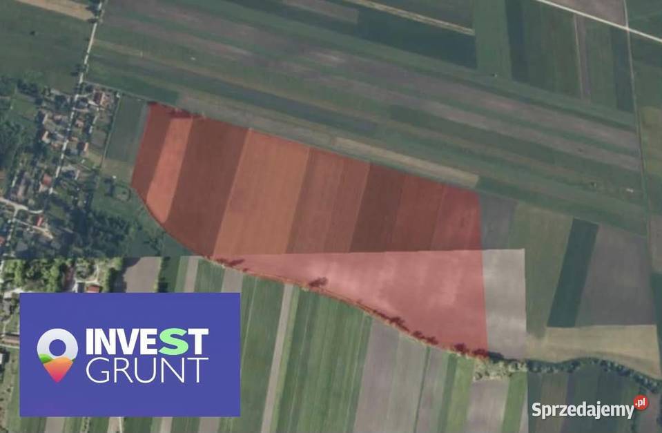 Dzierżawa gruntu rolnego 4944 ha świętokrzyskie Pińczów