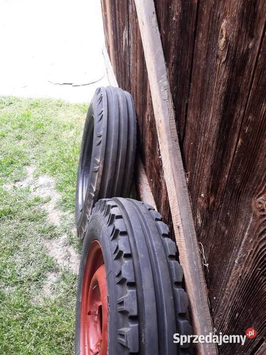 ola 60016 świętokrzyskie Włoszczowa